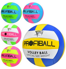 Мяч волейбольный (EV3159)