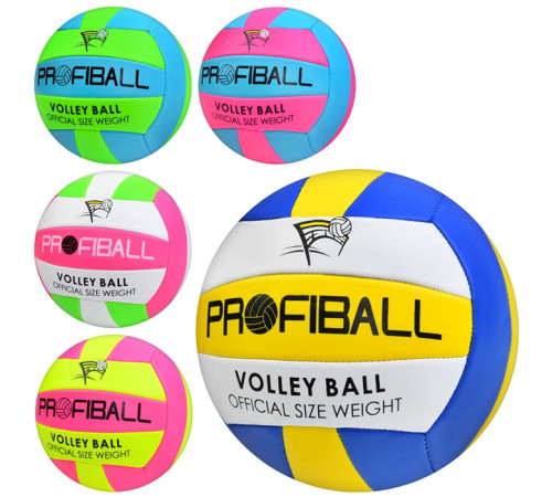 Мяч волейбольный (EV3159)