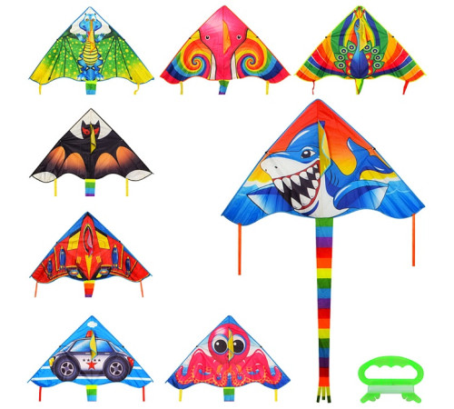 Воздушный змей (MR0590)