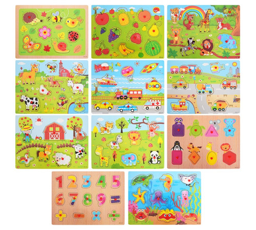 Деревянная игрушка Рамка-вкладыш (MD1564)