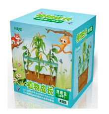 Набор "Ботанические Эксперименты" (X2024-073)