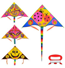 Воздушный змей (M2980)