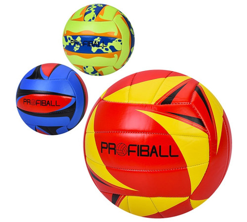 Мяч волейбольный (EN-3331)